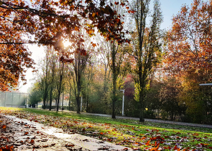 Volvamos a hacer Verde Sant Cugat